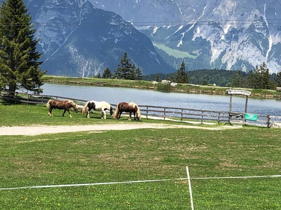 Sonniges Apartment In Seefeld Seefeld in Tirol Eksteriør bilde