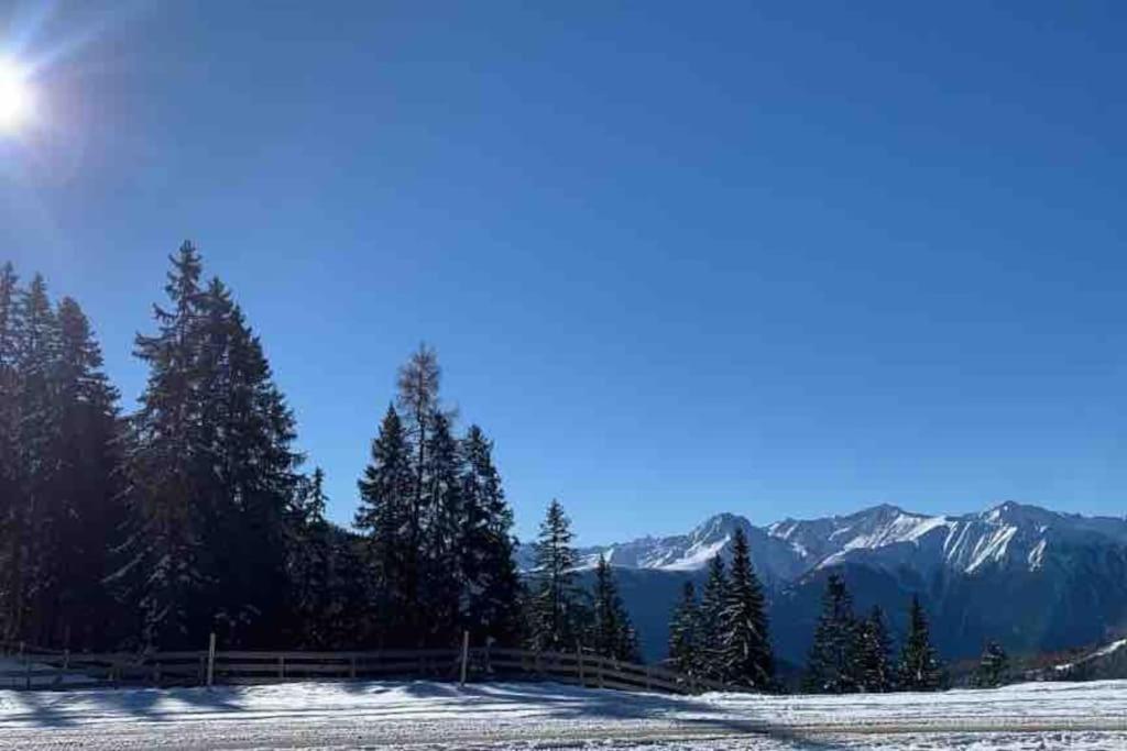 Sonniges Apartment In Seefeld Seefeld in Tirol Eksteriør bilde